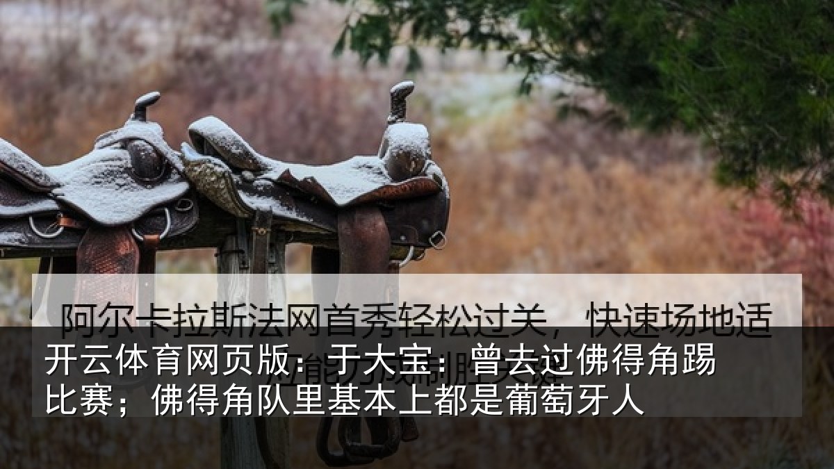 开云体育网页版：于大宝：曾去相关情况情况萄牙人
