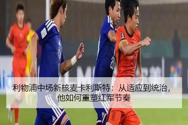 利物浦中场新核麦卡利斯特：从适应到统治，他如何重塑红军节奏