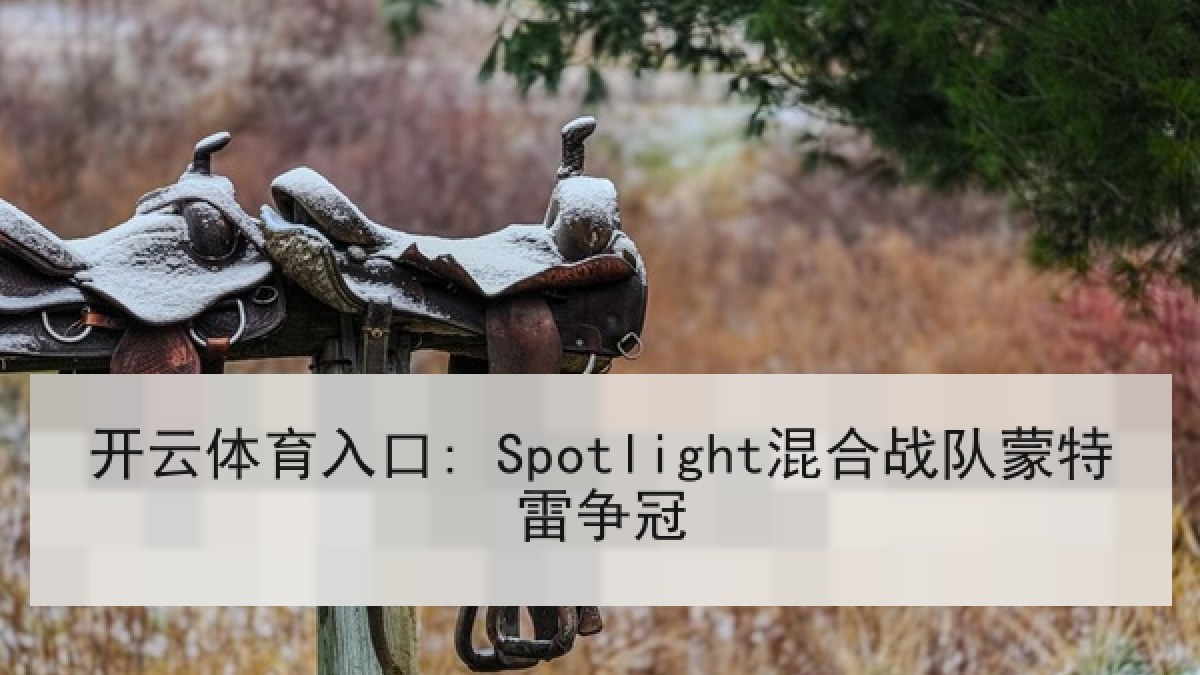 开云体育入口: Spotlight混合战队蒙特雷争冠