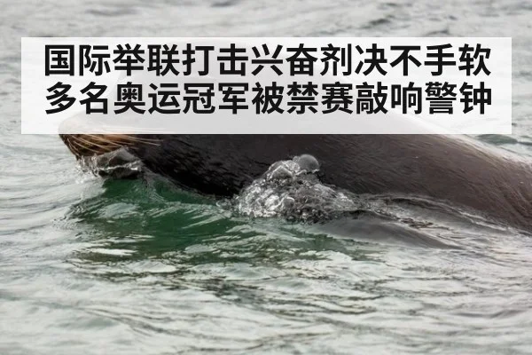 国际举联打击兴奋剂决不手软 多名奥运冠军被禁赛敲响警钟