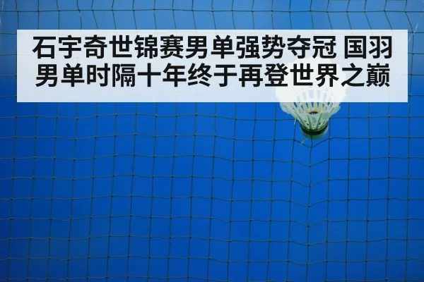 badminton shuttlecock on court