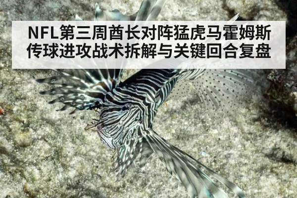 NFL第三周酋长对阵猛虎马霍姆斯传球进攻战术拆解与关键回合复盘